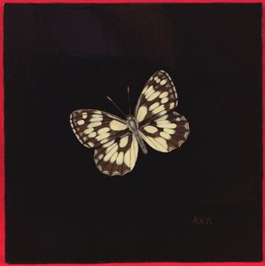Mariposa blanca jaspeada, 2000 de Amelia Kleiser